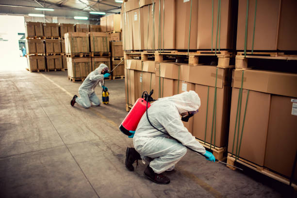 Professional Pest Control in Fayetteville, WV