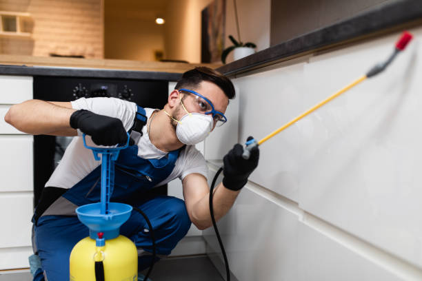 Best Pest Inspection Near Me  in Fayetteville, WV