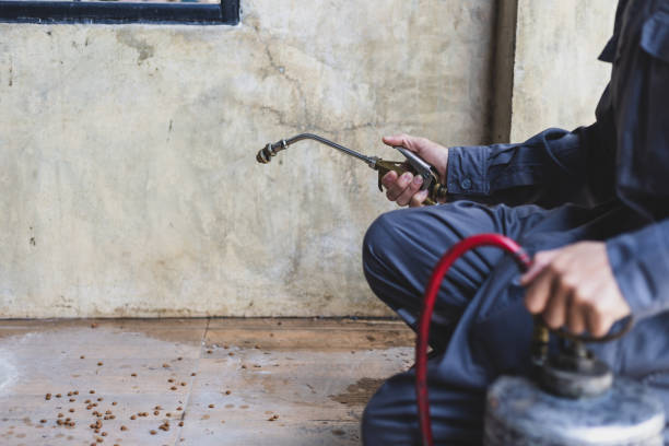 Best Emergency Pest Control  in Fayetteville, WV