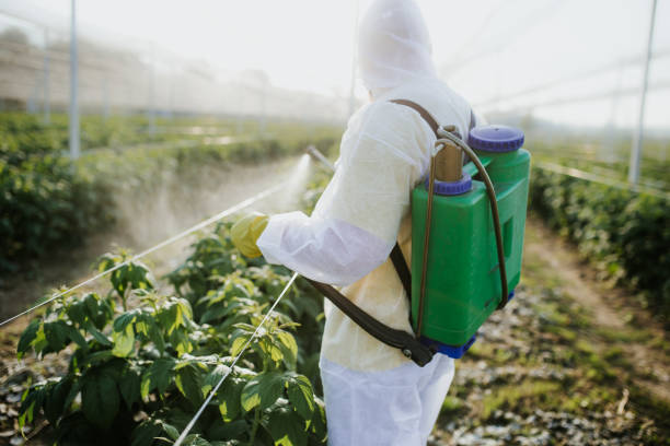 Best Local Pest Control Services  in Fayetteville, WV